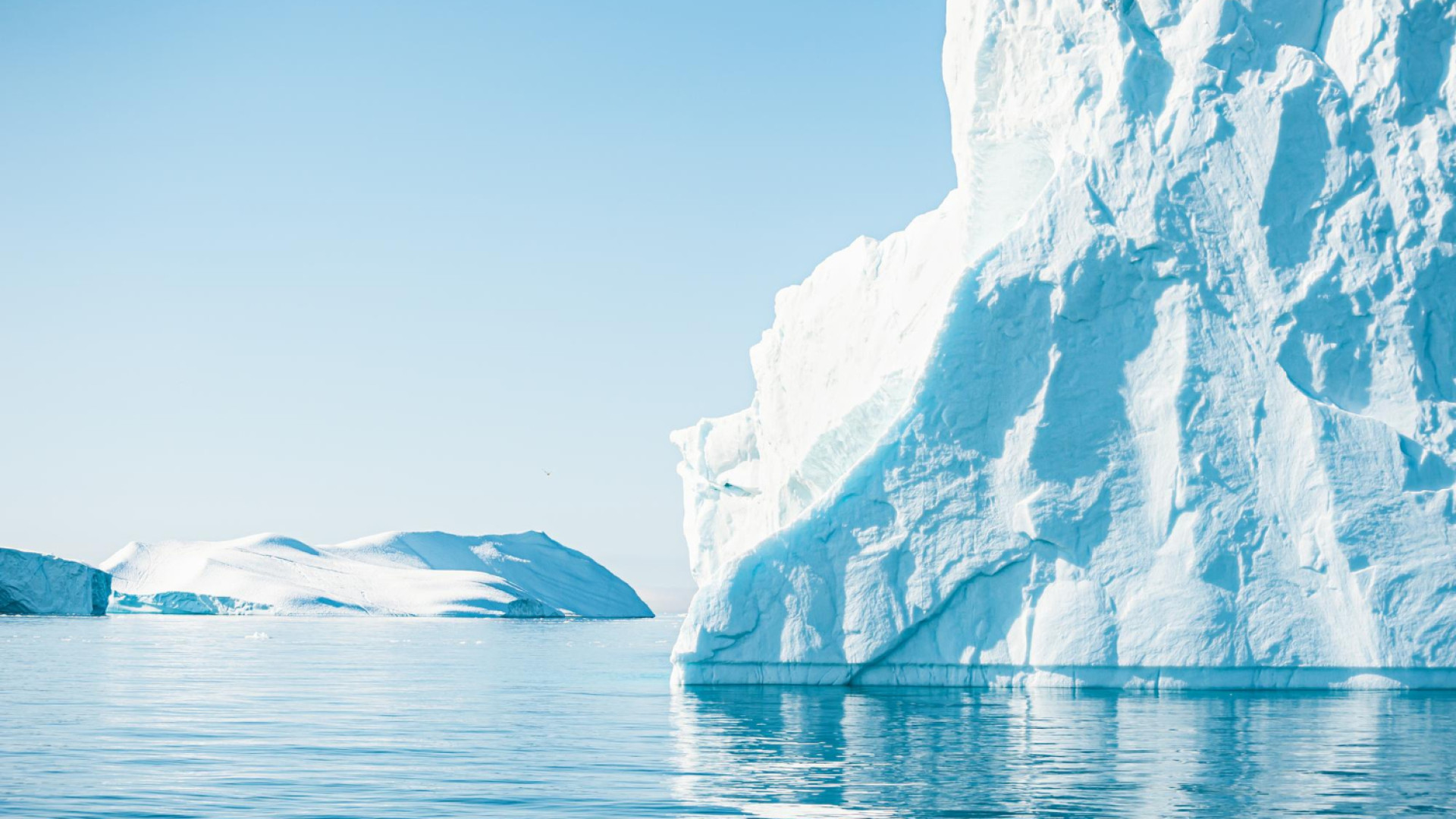 Cap sur le Grand Sud : explorez l’Antarctique en voilier et savourez une nature préservée